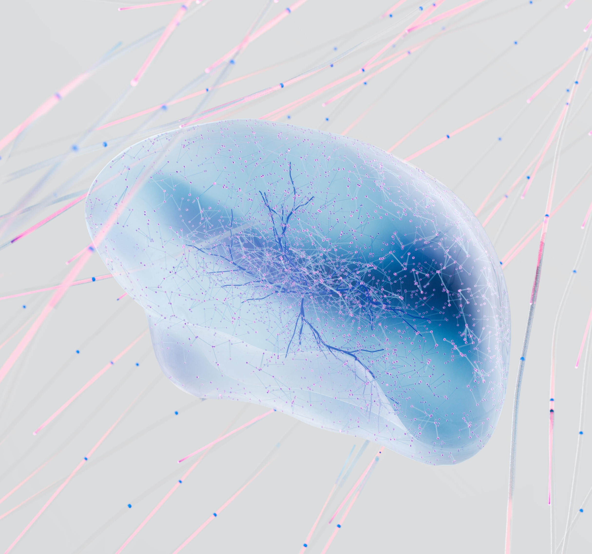 knosox neurons in glibber